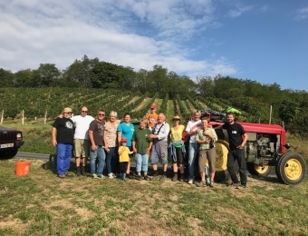 Weinlese 09/18